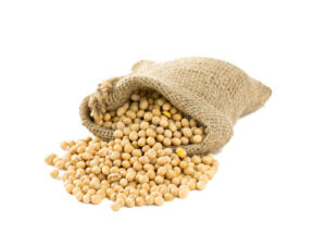 GMO Soybeans Export Brazil