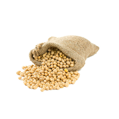 GMO Soybeans Export Brazil