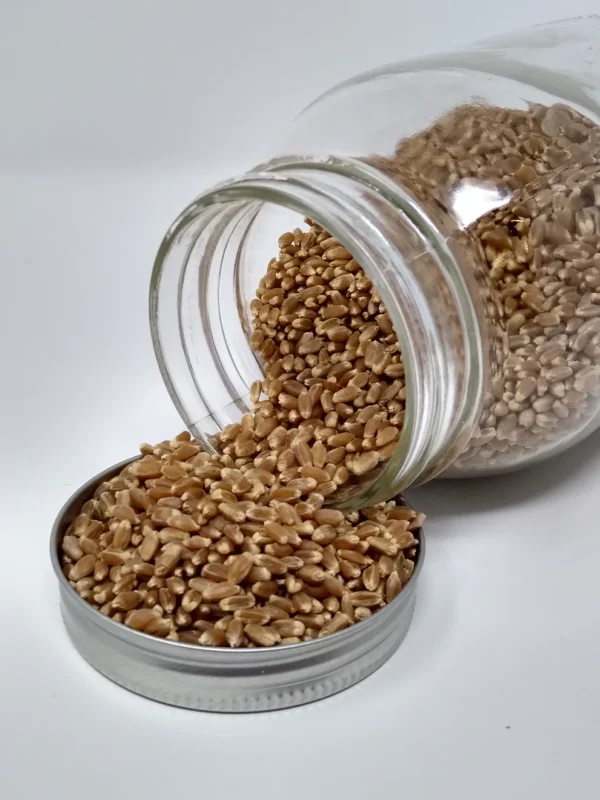 Organic Milling Wheat Export Brazil