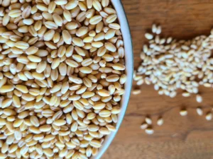 Organic Milling Wheat Export Brazil