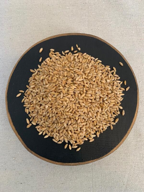 Organic Milling Wheat Export Brazil