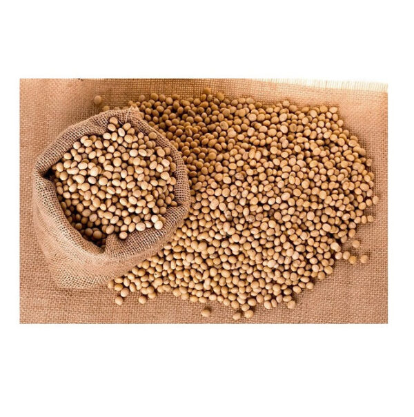 Organic Soybeans Export Brazil