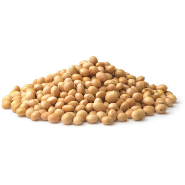 Organic Soybeans Export Brazil
