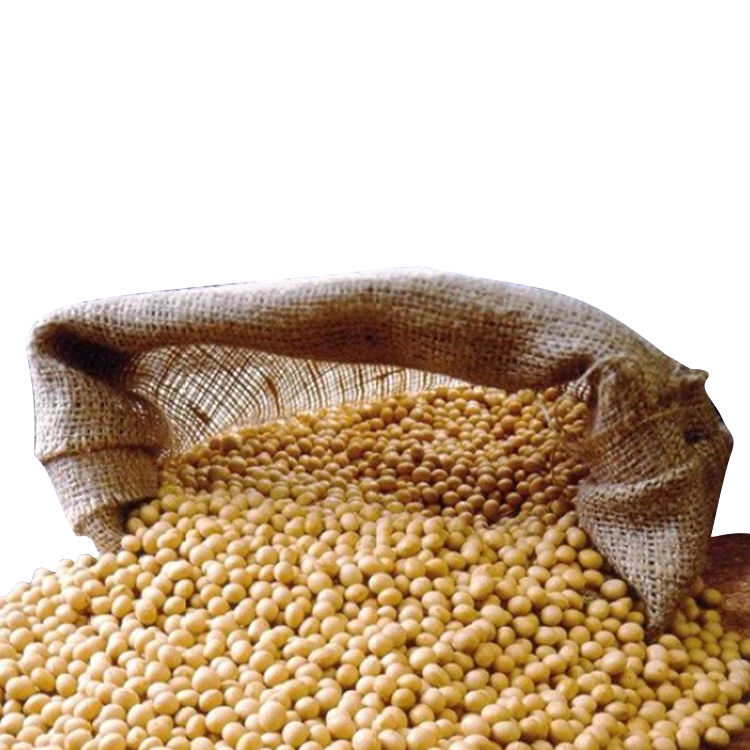 Organic Soybeans Export Brazil