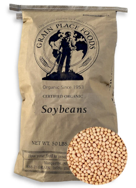 Soybeans for Human Consumption Export Brazil