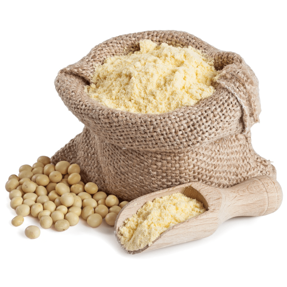 Soybean Flour Export Brazil