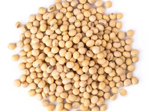 Soybeans for Human Consumption Export Brazil